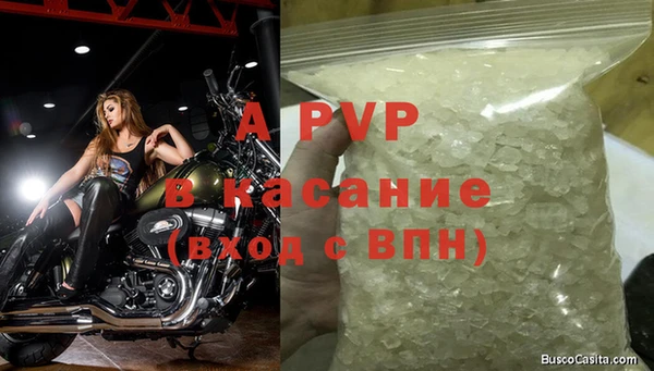 винт Абаза